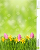 Springtime Flower Clipart Image