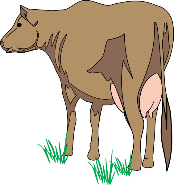 clipart brown cow - photo #42