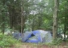 Salt Rock Campground Image