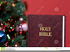 Christmas Holy Clipart Image