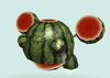Watermelon Guarder Image