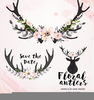 Free Clipart Floral Image