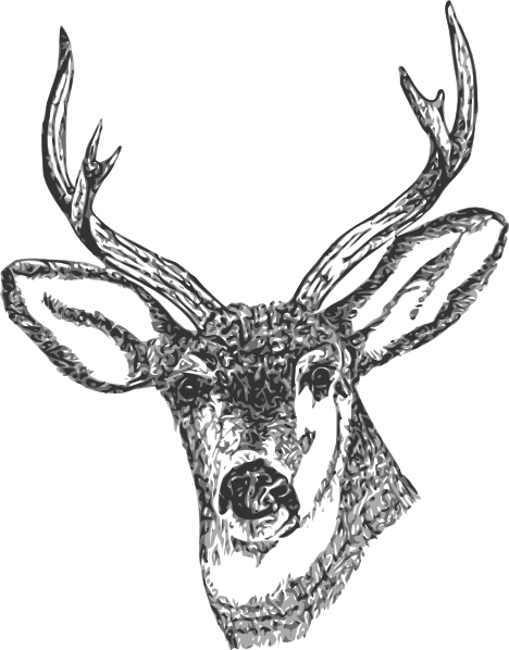 Cartoon Images Of Deer. Deer Head clip art