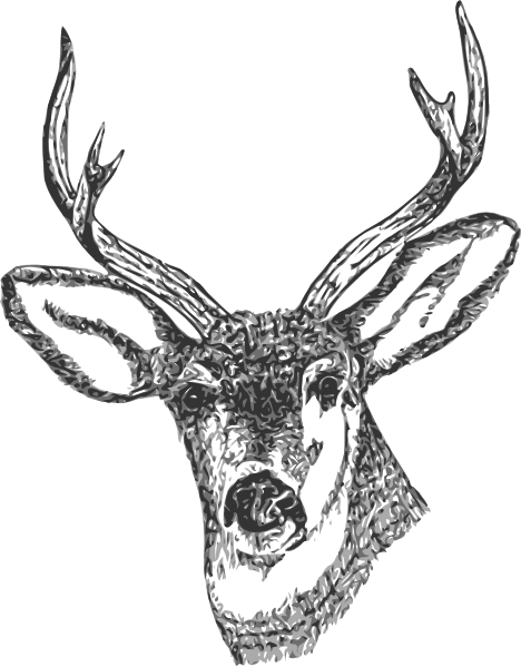 Deer Head Clip Art at Clker.com - vector clip art online, royalty free