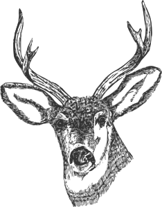 Deer Head Clip Art
