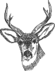 Deer Head Clip Art