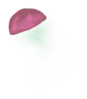 Jellyfish Clip Art