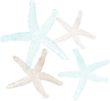 Starfish Prints Clip Art