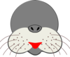 Seal With No Eyes Clip Art