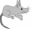 Gray Rodent Clip Art