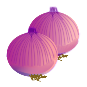 Onion clip art - vector clip art online, royalty free
