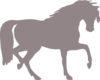 Grey Horse Clip Art