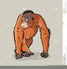 Free Clipart Animated Walking Image