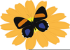Transparent Butterfly Clipart Image