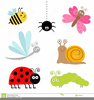 Ladybug Dragonfly Clipart Image