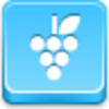 Grapes Icon Image