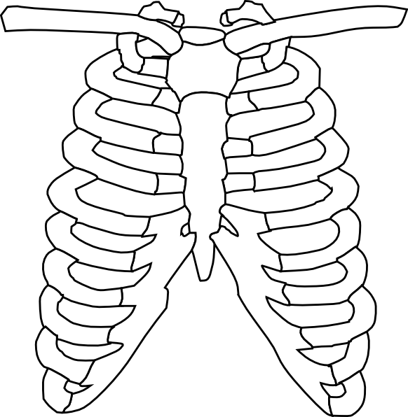 clipart human skeleton outline - photo #17