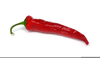 Chili Pepper Clipart Image