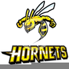 Hornet And Free Clipart Image