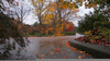 Autumn Rain Gif Image