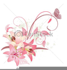 Clipart Of Lilies Image