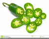 Free Jalapeno Pepper Clipart Image