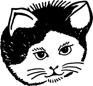 Portrait Of A Cat Image