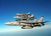 F/a-18  Hornet  Strike Fighters From Carrier Air Wing One Seven (cvw 17) Image
