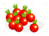 Tomato Clipart Image
