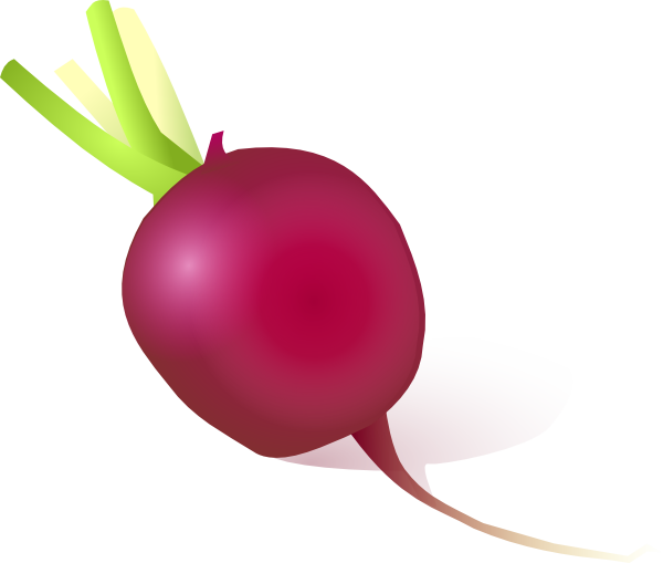 Raddish Clip Art at Clker.com - vector clip art online, royalty free