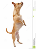 Dog Dancing Clipart Image