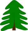 Plant Tree Cartoon Clip Art