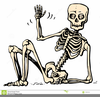 Free Human Skeleton Clipart Image