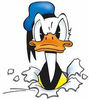 Donald Image