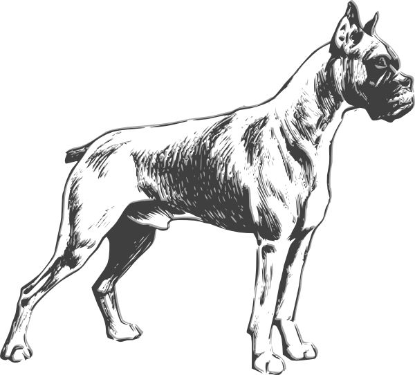 dog clipart drawing - photo #31