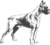 Dog Clip Art