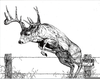 Deer Running Clipart Image