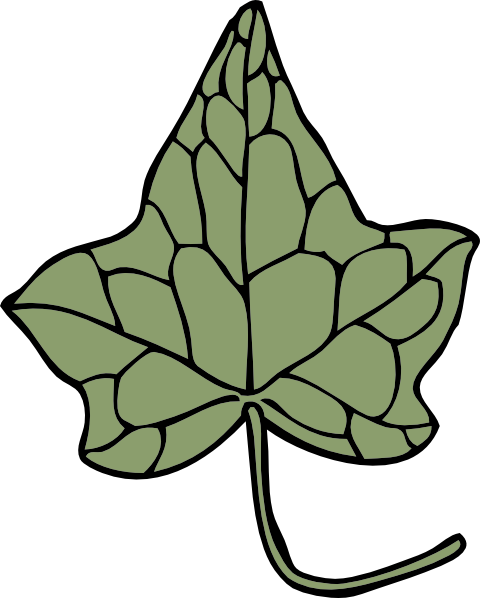 Oak Ivy Leaf clip art vector clip art online royalty free public domain
