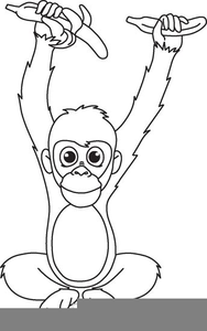 Orangutan Clipart Free Image
