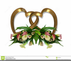 Clipart Gold Lily Image