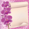 Orchid Free Clipart Image