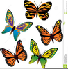 Butterflys Clipart Image