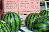 Japanese Watermelon Image