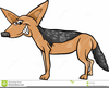 Jackal Clipart Image