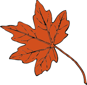 Free Vector Cliparts on Maple Leaf Clip Art   Vector Clip Art Online  Royalty Free   Public