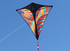 B C D C B D D F Dcc Envole Kite Flying Image