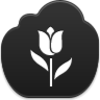 Tulip Icon Image