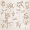 Vector Flower Cliparts Image