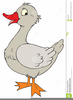 Clipart Flying Duck Image