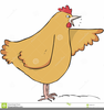 Animated Chicken Clipart Image